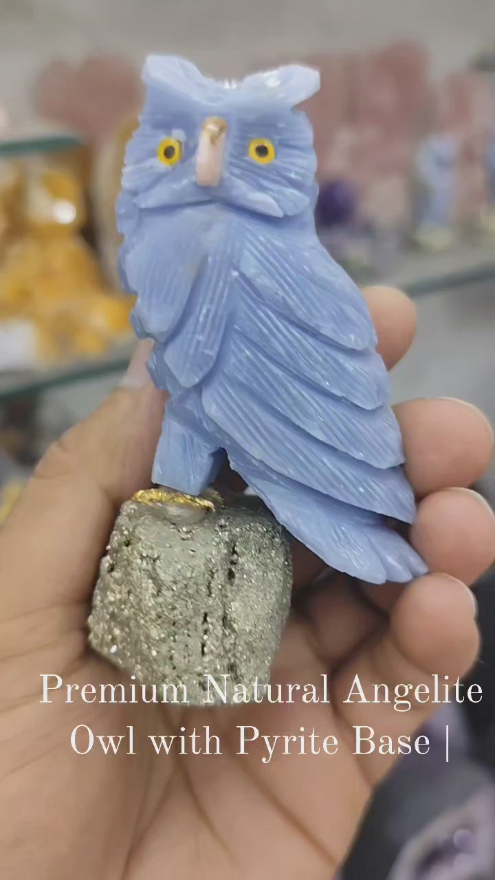 Premium Natural Angelite Owl with Pyrite Base